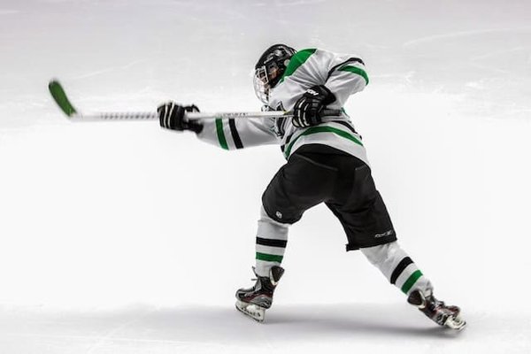 Playoffs Synerglace Ligue Magnus, NHL et Mondial Elite de Hockey sur Glace