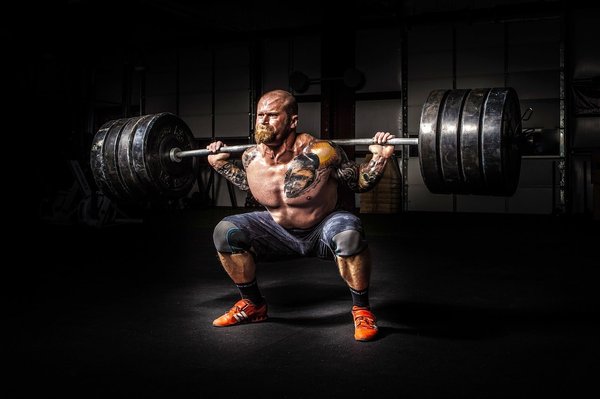 Programmes de musculation : quels exercices pour quels résultats ?