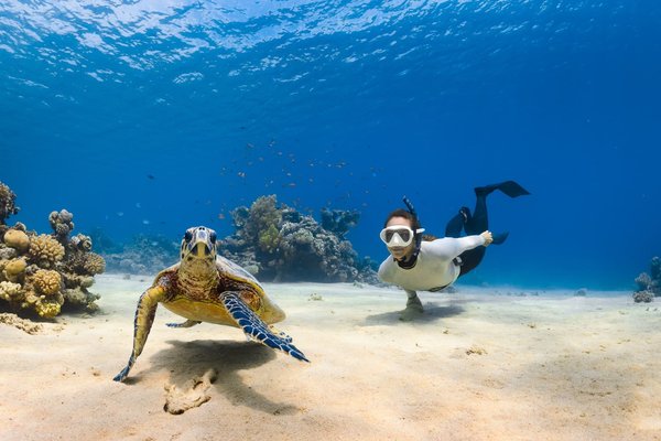 Plongée sous-marine : explorer les profondeurs avec sécurité et confiance
